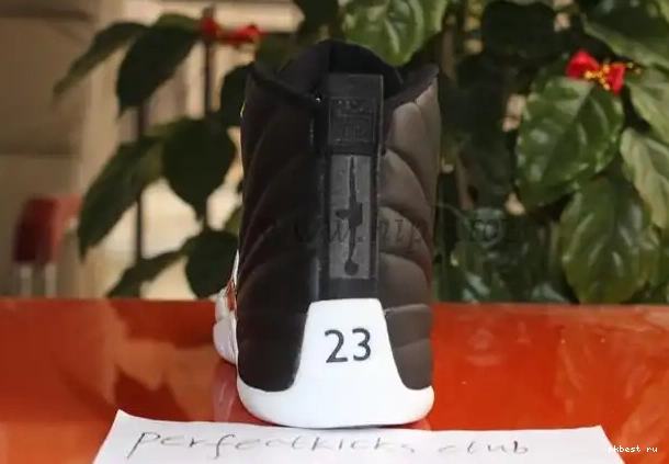 Air Retro Wings Jordan 12 Authentic 0519